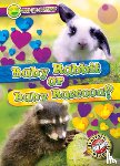 Chang, Kirsten - Baby Rabbit or Baby Raccoon?