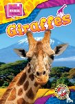 Scheffer, Janie - Giraffes