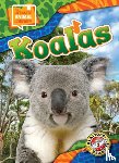 Scheffer, Janie - Koalas