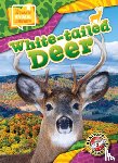 Scheffer, Janie - White-Tailed Deer
