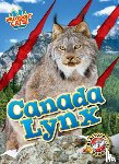 Anderson, Shannon - Canada Lynx
