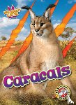 Anderson, Shannon - Caracals