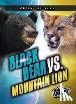 Sommer, Nathan - Black Bear vs. Mountain Lion