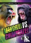 Sommer, Nathan - Mandrill vs. Chimpanzee