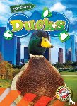 Schuh, Mari C. - Ducks