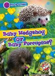 Chang, Kirsten - Baby Hedgehog or Baby Porcupine?