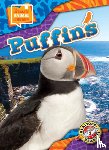 Bowman, Chris - Puffins