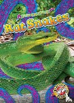 Mattern, Joanne - Rat Snakes