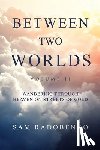 Radobenko, Sam - Between Two Worlds, Volume II: Wandering Through Heaven on Streets of Gold