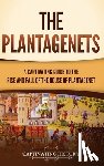 History, Captivating - The Plantagenets