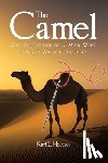Hoessel, Karl L. - The Camel