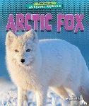 Rose, Rachel - Arctic Fox