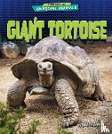 Scheffer, Janie - Giant Tortoise