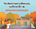 Dahlke, Patty - The Adventures of Precious, the Calico Kitten: Precious is Rescued