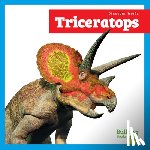 Austen, Lily - Triceratops
