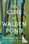 Moore, Thomas - The Cure at Walden Pond: A Guide to Recovering Our Humanity