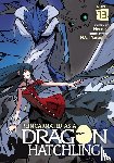 Necoco - Reincarnated as a Dragon Hatchling (Light Novel) Vol. 13