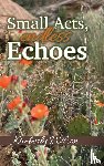 Wilson, Kimberly - Small Acts. Endless Echoes