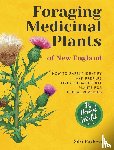 Pavlova, Silvi - Foraging Medicinal Plants of New England