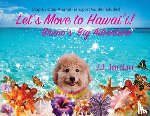 Jordan, J. J. - Let's Move to Hawaii: Bruno's Big Adventure