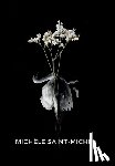 Saint-Michel - Grief Is an Origami Swan