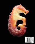 Crisci, Kako - Longshan Jade