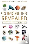 Lewis, Seraphina - Curiosities Revealed
