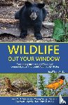 Timm, Brad - Wildlife Out Your Window