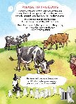 Wintersberger, Victoria - Please Tip the Cows