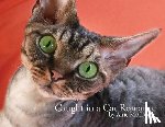 McCready, Airie - Caught in a Cat Romance