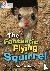 The Fantastic Flying Squirr...