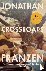 Franzen, Jonathan - Crossroads