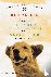Three Dog Tales - Old Yelle...