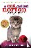 A Cat Called Norton
