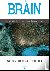The Brain - An Introduction...