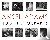 Ansel Adams' 400 Photograph...