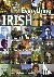 Everything Irish: The Histo...