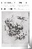 Breathturn Into Timestead -...