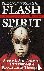Flash of the Spirit - Afric...