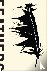 Feathers - The Evolution of...