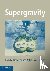 Supergravity