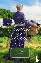 An Amish Home - Four Novellas