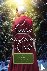 An Amish Christmas Love - F...