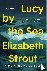 Lucy by the Sea - A Novel