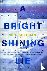A Bright Shining Lie - John...