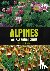 Mitchell, Michael - Alpines - An essential guide