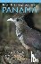 A Bird-Finding Guide to Panama