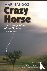 Crazy Horse - The Strange M...