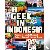 Hannigan, Tim - A Geek in Indonesia - Discover the Land of Komodo Dragons, Balinese Healers and Dangdut Music