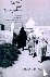 Quest for Conception - Gend...